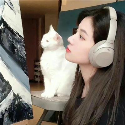 众星拱月